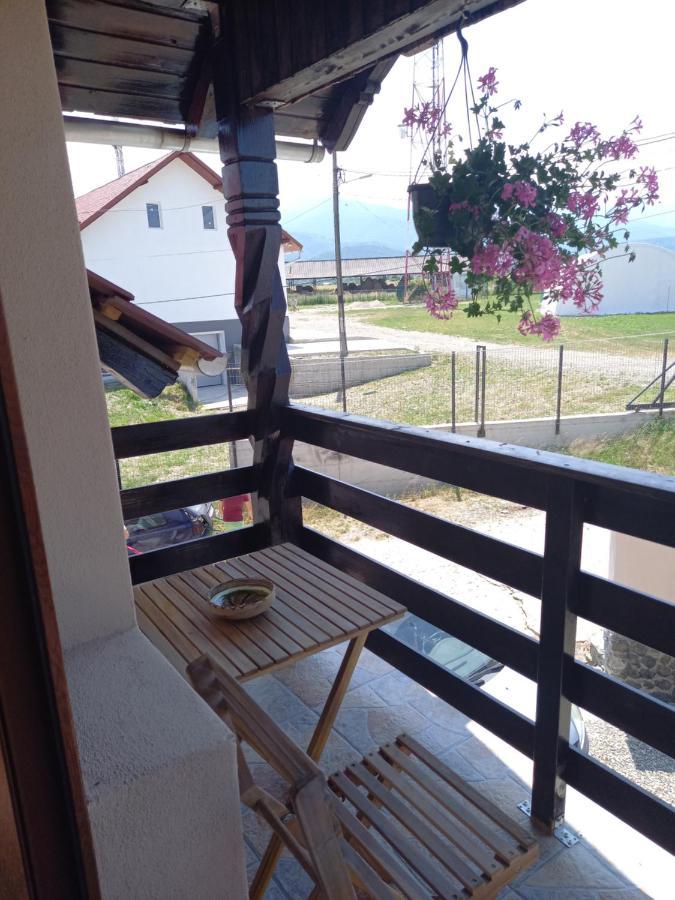 Casa Loredana Cîrţişoara Exteriör bild