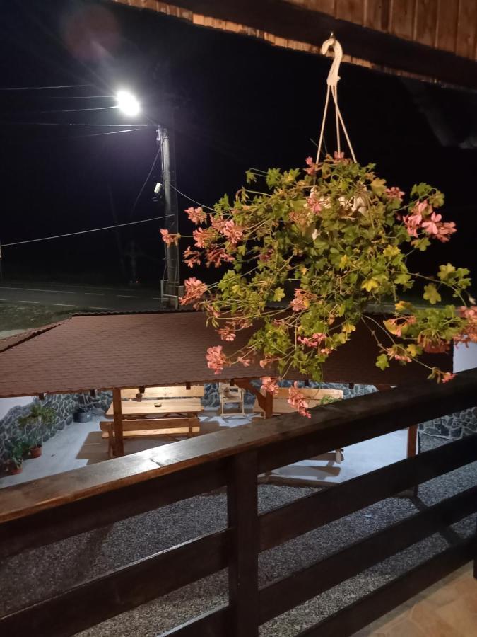 Casa Loredana Cîrţişoara Exteriör bild