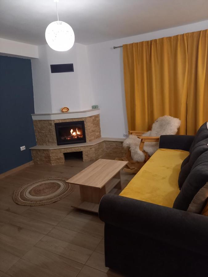Casa Loredana Cîrţişoara Exteriör bild